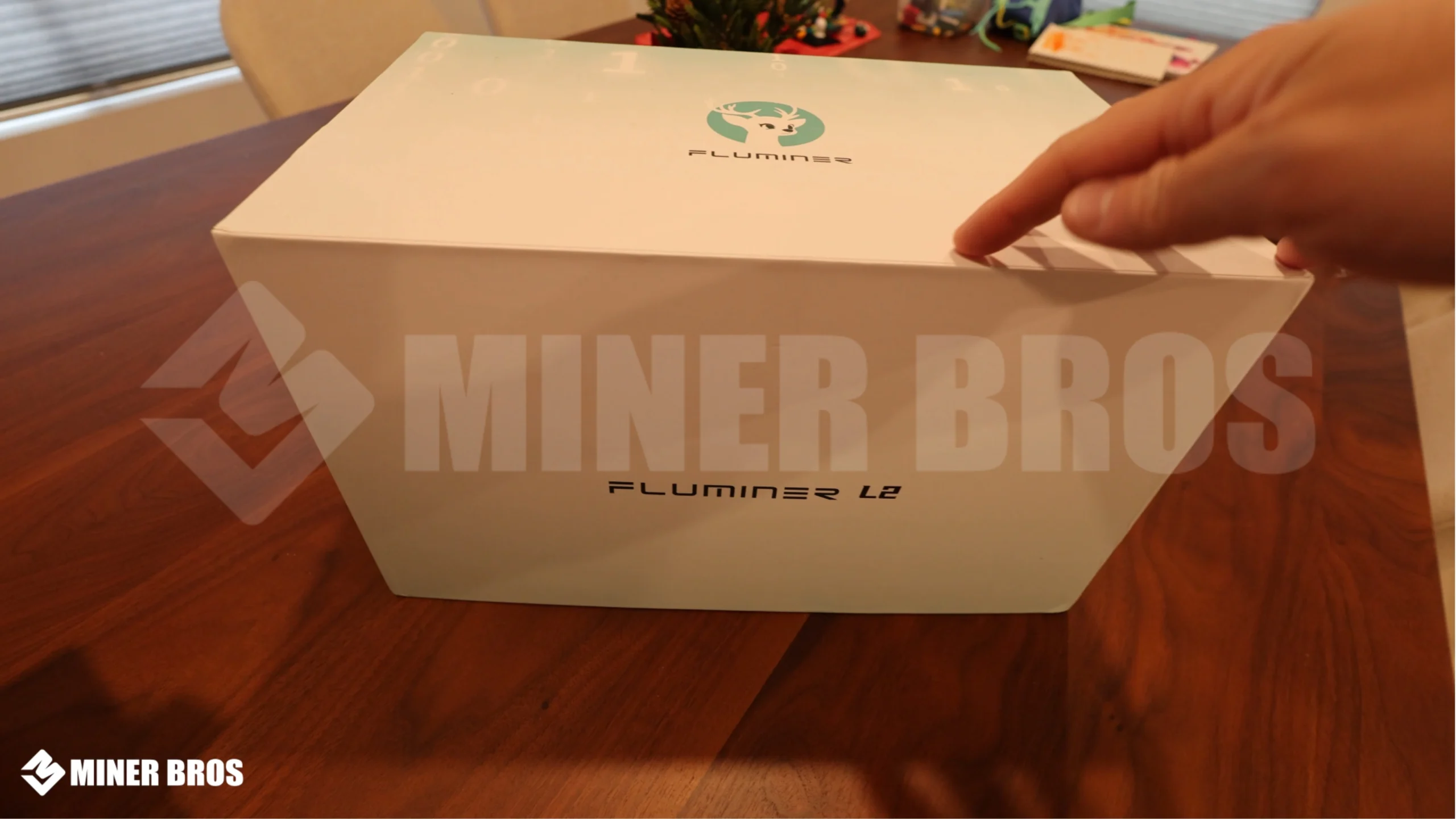Fluminer L2 comes in premium packaging - 1